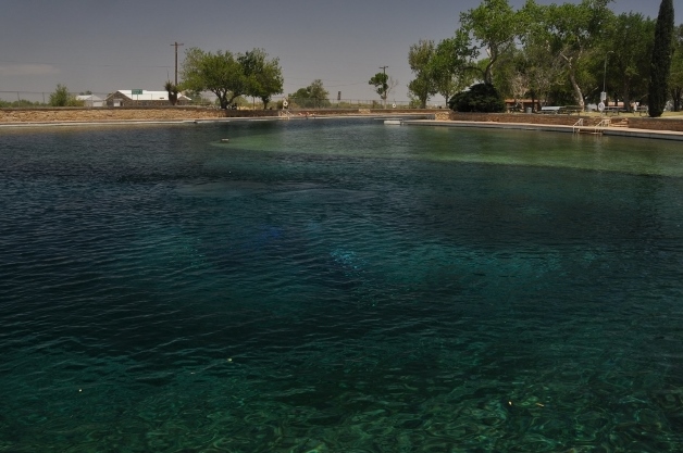 the swimming pool